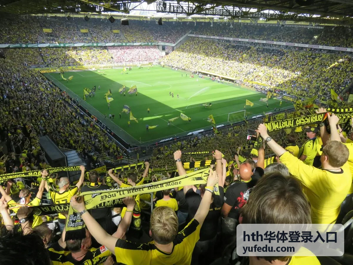 hth华体登录入口登录适配自查参考图